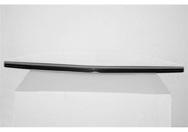 Alerón Mercedes W212 2010-2016 Carbono