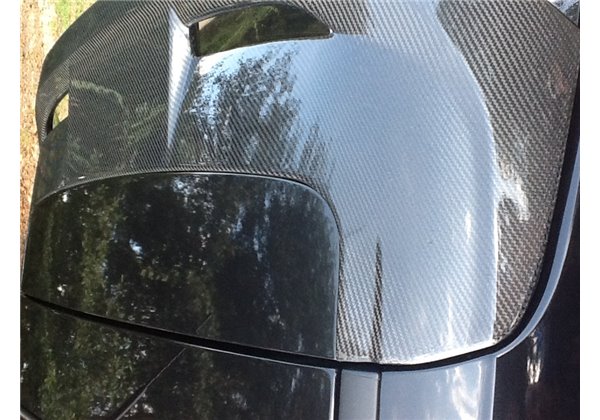 Alerón Ford Focus ST 2012 C/Luz Carbono