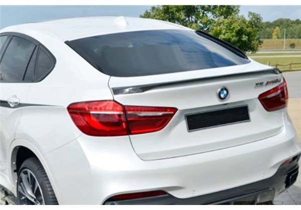 Alerón BMW F16 X6 14-17 Carbono