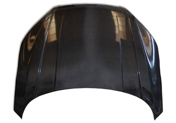 Capó Carbono Audi TT 8J 2006-2014