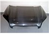 Capó Carbono Audi TT 8J 2006-2014