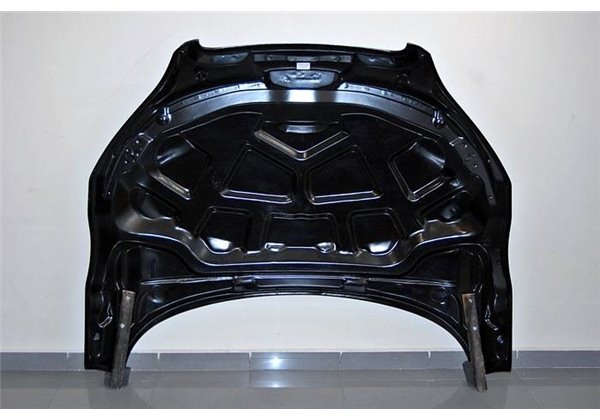 Capó Carbono Audi TT 8J 2006-2014