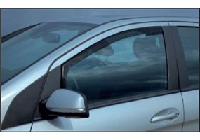 Borrar